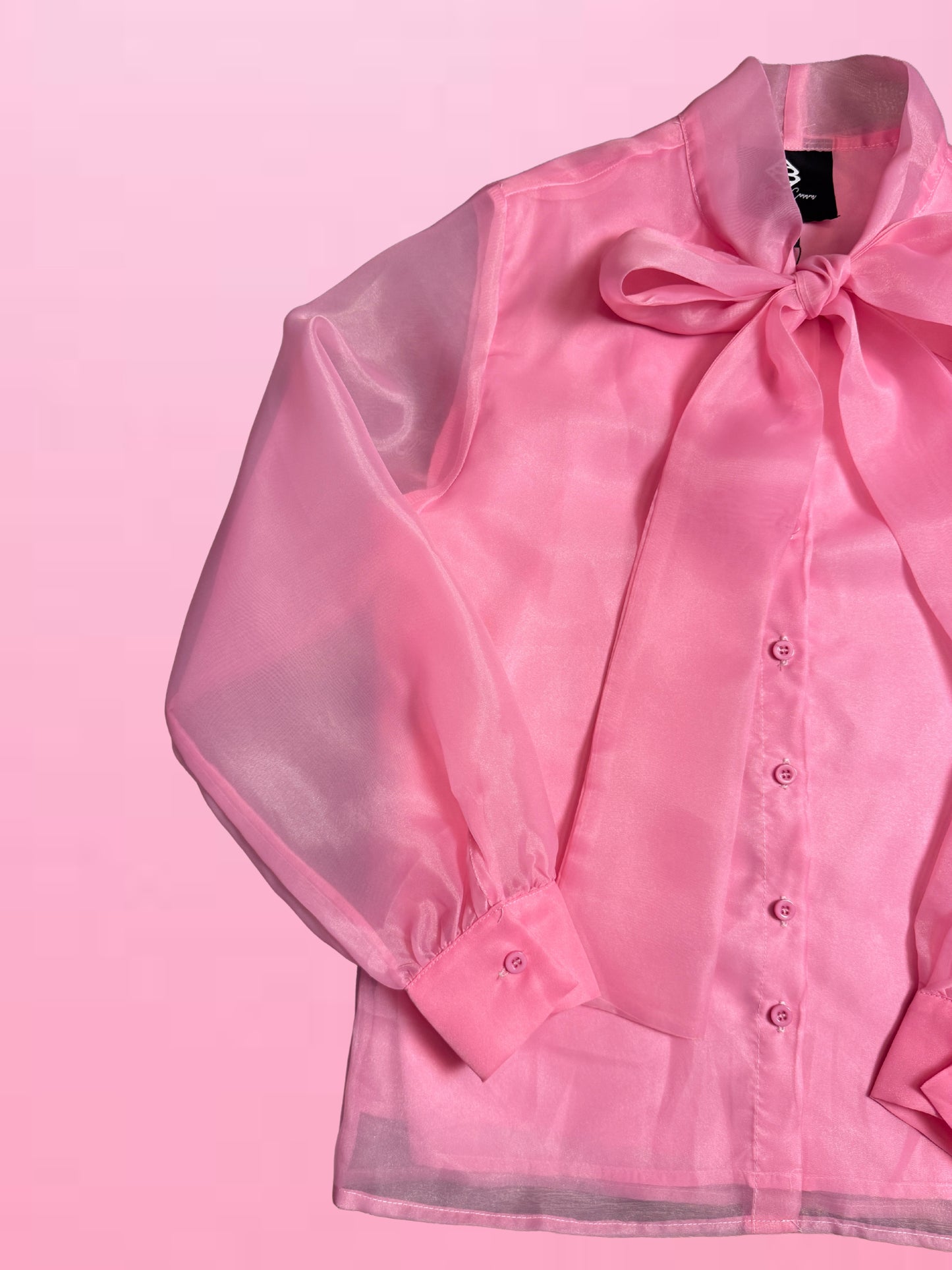 Light Pink Button Down Blouse With Bow